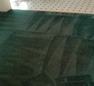 Carpet Deep Cleaning 